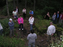 Mannerheimlinjan raunioilla