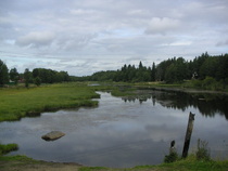 Näkymä Sommeenjoelta Ellalaan päin