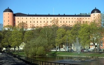 Uppsalan linna