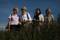 Neljä upeaa naista; maisemat kasvaneet umpeen